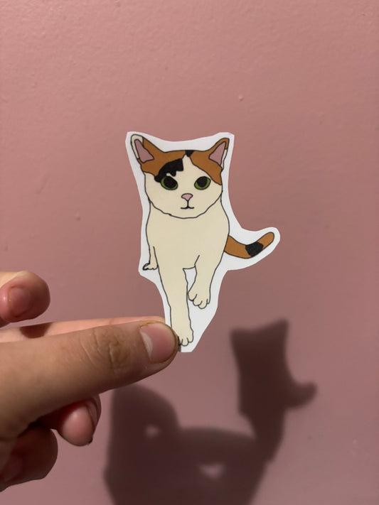 Orange And White Kitten Sticker